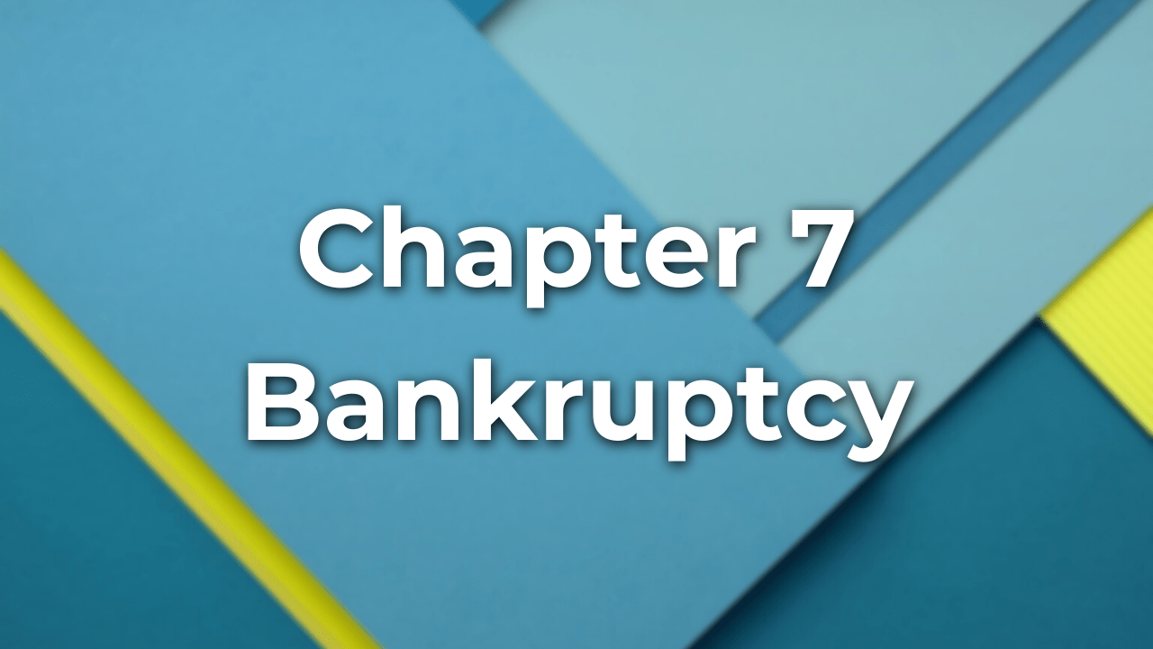 Chapter 7 Bankruptcy